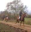 Reitgelände beim Hof Jaddatz in Ziemitz am Peenestrom