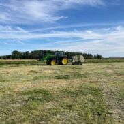 Landwirtschaft auf Hof jaddatz