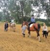 Reitgelände beim Hof Jaddatz in Ziemitz am Peenestrom