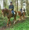 Reitgelände beim Hof Jaddatz in Ziemitz am Peenestrom