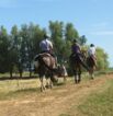 Reitgelände beim Hof Jaddatz in Ziemitz am Peenestrom