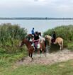 Reitgelände beim Hof Jaddatz in Ziemitz am Peenestrom