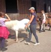 Reiterferien auf dem  Reiterhof Jaddatz am Peenestrom