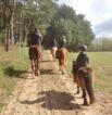 Reitgelände beim Hof Jaddatz in Ziemitz am Peenestrom