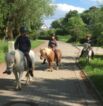 Reiterferien auf dem  Reiterhof Jaddatz am Peenestrom