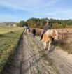 Reitgelände beim Hof Jaddatz in Ziemitz am Peenestrom