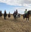 Reitgelände beim Hof Jaddatz in Ziemitz am Peenestrom