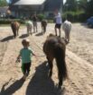 Reiterferien auf dem  Reiterhof Jaddatz am Peenestrom