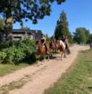 Reitgelände beim Hof Jaddatz in Ziemitz am Peenestrom