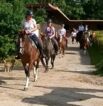 Reiterferien auf dem  Reiterhof Jaddatz am Peenestrom