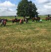 Reitgelände beim Hof Jaddatz in Ziemitz am Peenestrom