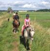 Reitgelände beim Hof Jaddatz in Ziemitz am Peenestrom