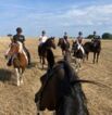 Reitgelände beim Hof Jaddatz in Ziemitz am Peenestrom