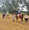Reitgelände beim Hof Jaddatz in Ziemitz am Peenestrom
