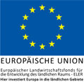 EU-Logo